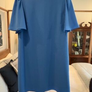 Elegant Blue Shift Dress